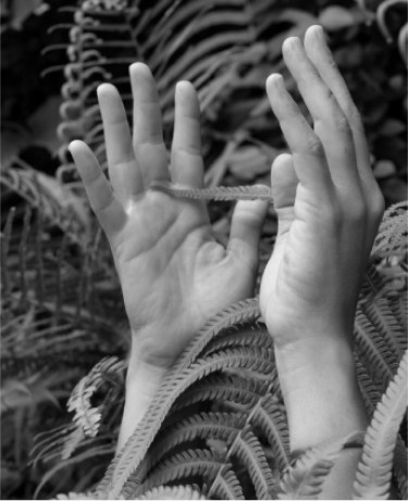 Blog 2